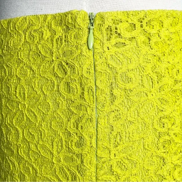 ANTHROPOLOGIE HD IN PARIS Lace A-Line Skirt