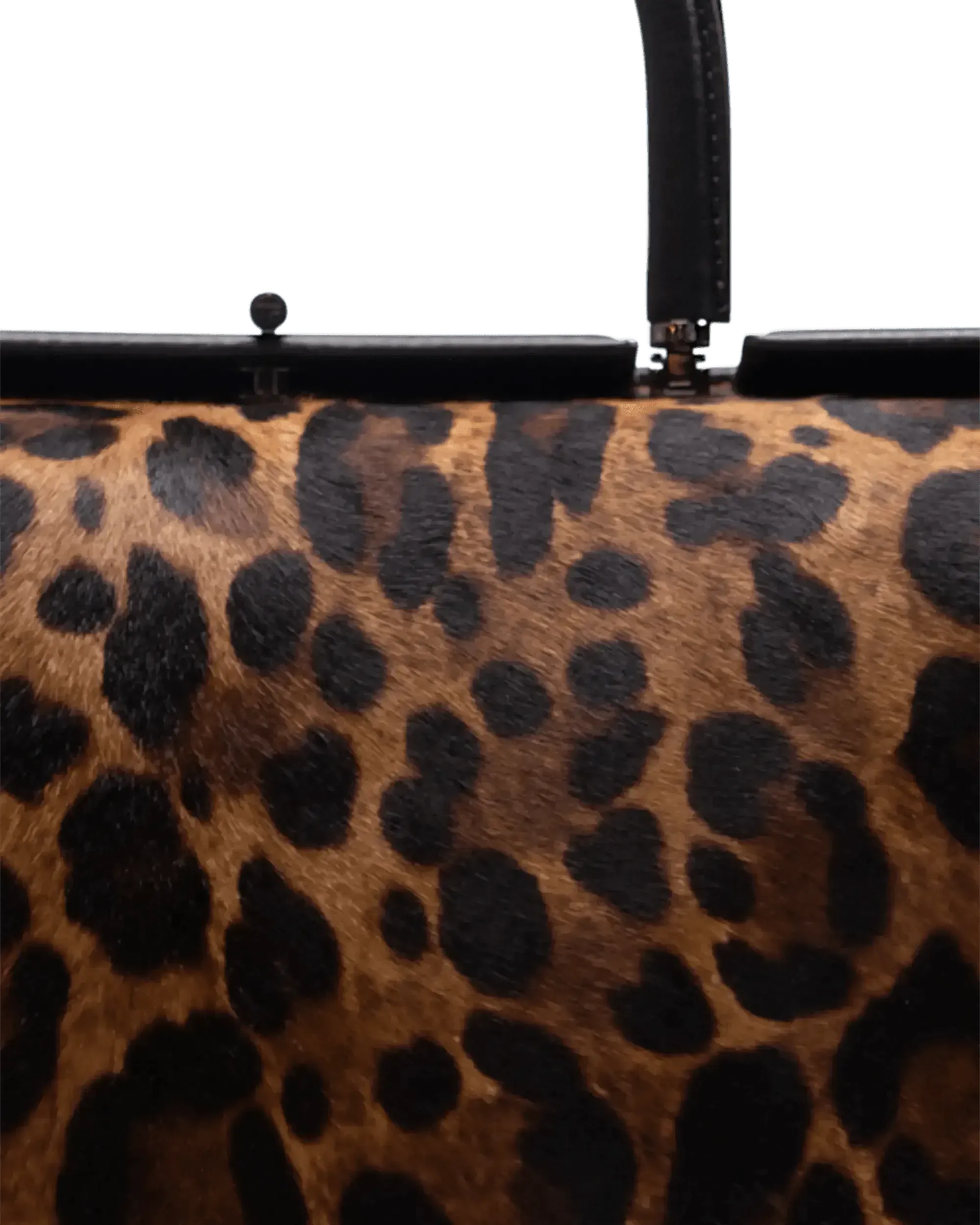 Doctor's Leopard Tote Bag