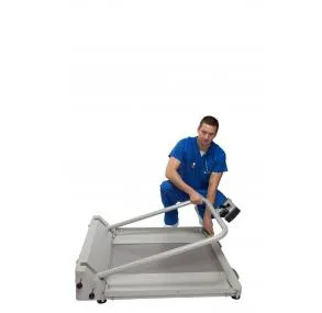 Health O Meter Portable/Folding Digital Wheelchair Single Ramp Scale with Handrails (1EA)