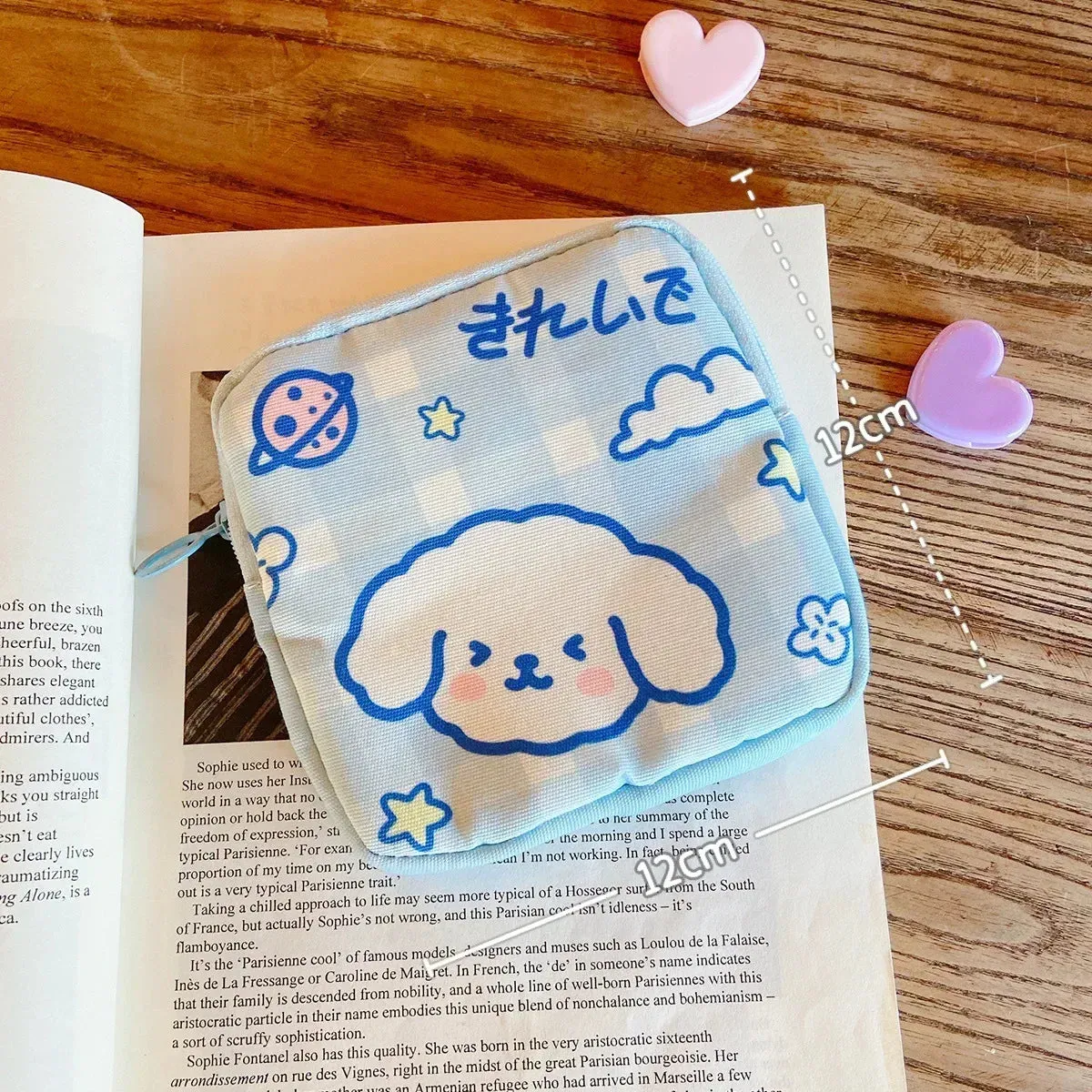 Kawaii Bear Storage Bag 🐻✨ | Large Capacity Sanitary Napkin & Coin Organizer Bag 🌸💖