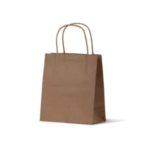 Kraft Paper Bag 10pkt