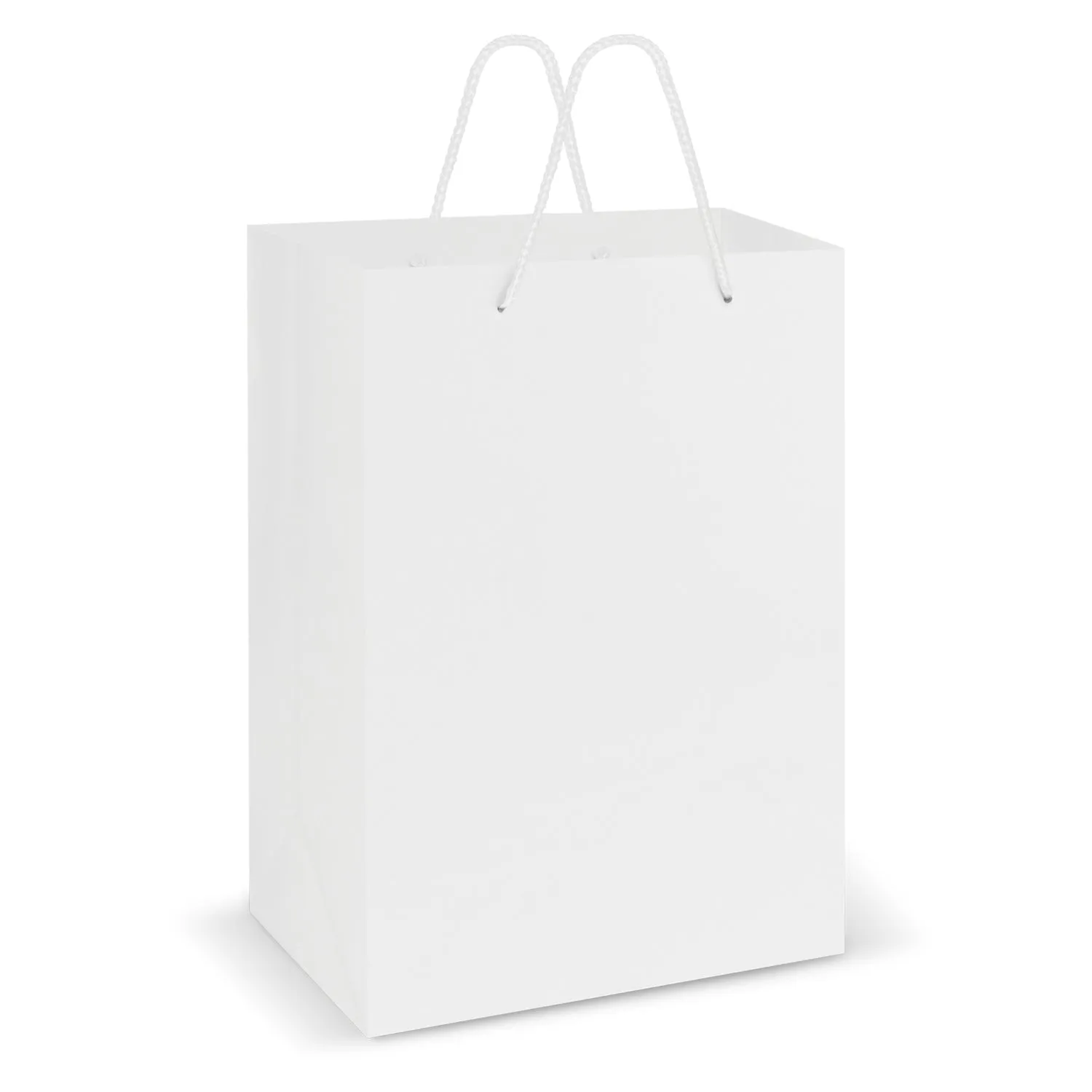 Laminated Carry Bag