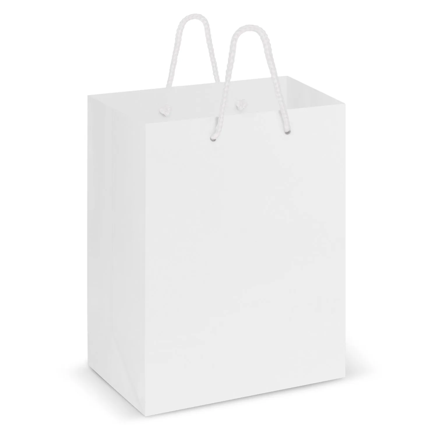 Laminated Carry Bag