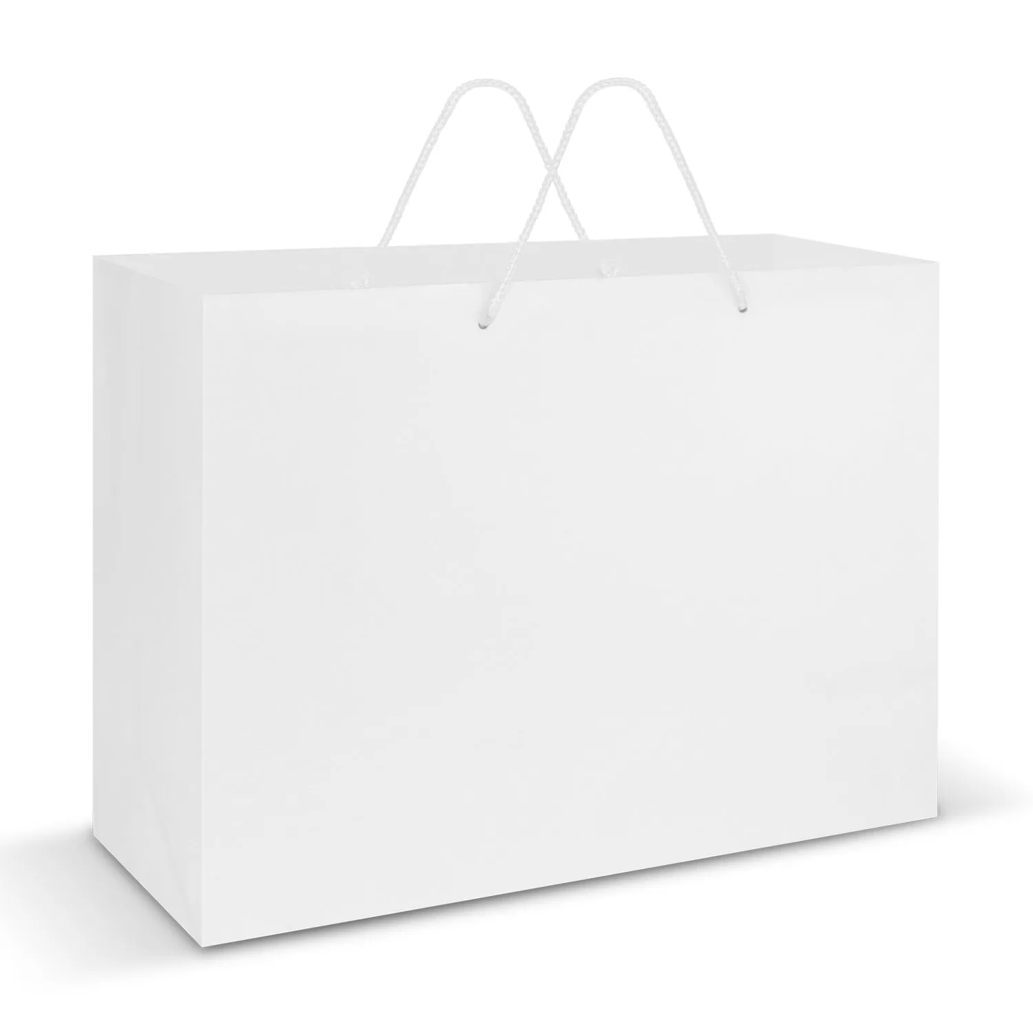 Laminated Carry Bag