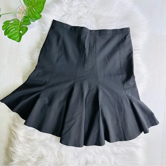 Like New Express Design Studio Fit and Flare Skirt, 6