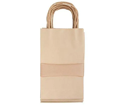 Paper Bag with Handle Pack of 10