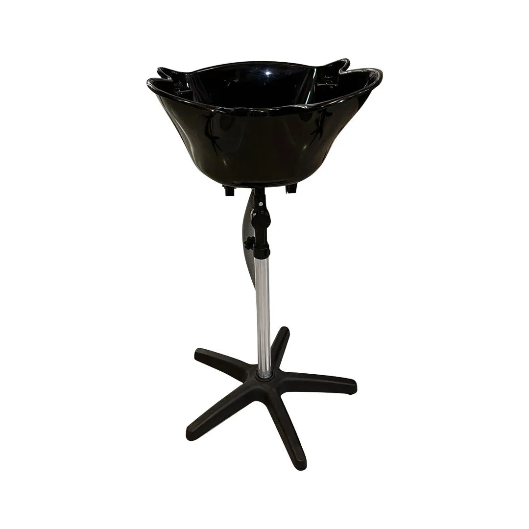 Portable Backwash Basin