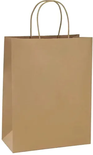 RiteEarth - 14" x 10" x 15.75" Kraft Paper Twist Bag, Pack of 200 - PT141015K