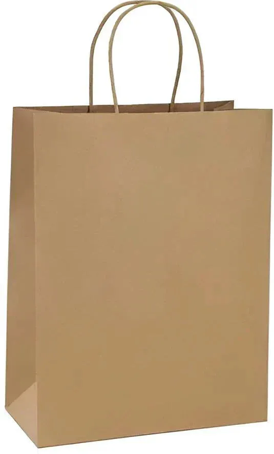 RiteEarth - 14" x 10" x 15.75" Kraft Paper Twist Bag, Pack of 200 - PT141015K