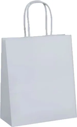RiteEarth - 9" x 6" x 13" White Paper Twist Handle Bag, 250/Cs - PT09613W