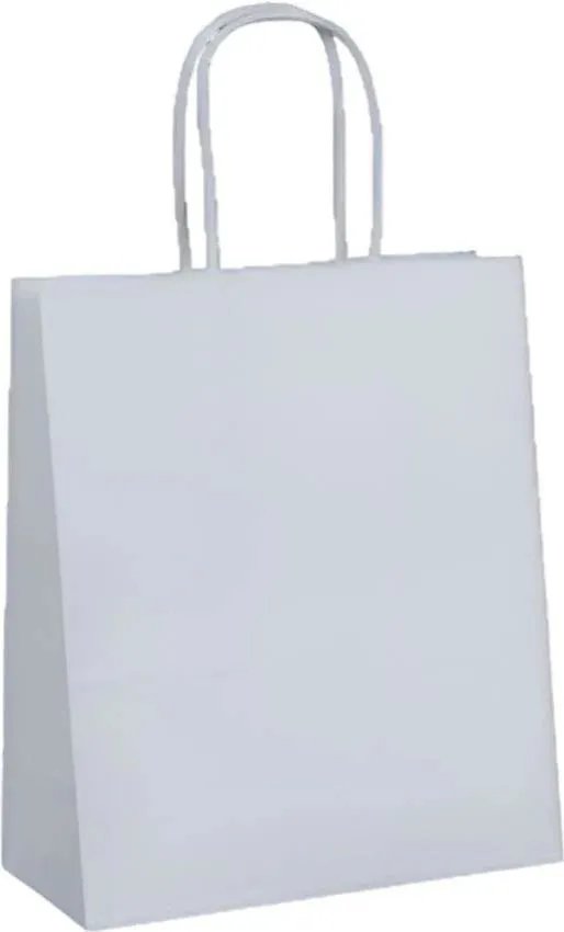 RiteEarth - 9" x 6" x 13" White Paper Twist Handle Bag, 250/Cs - PT09613W