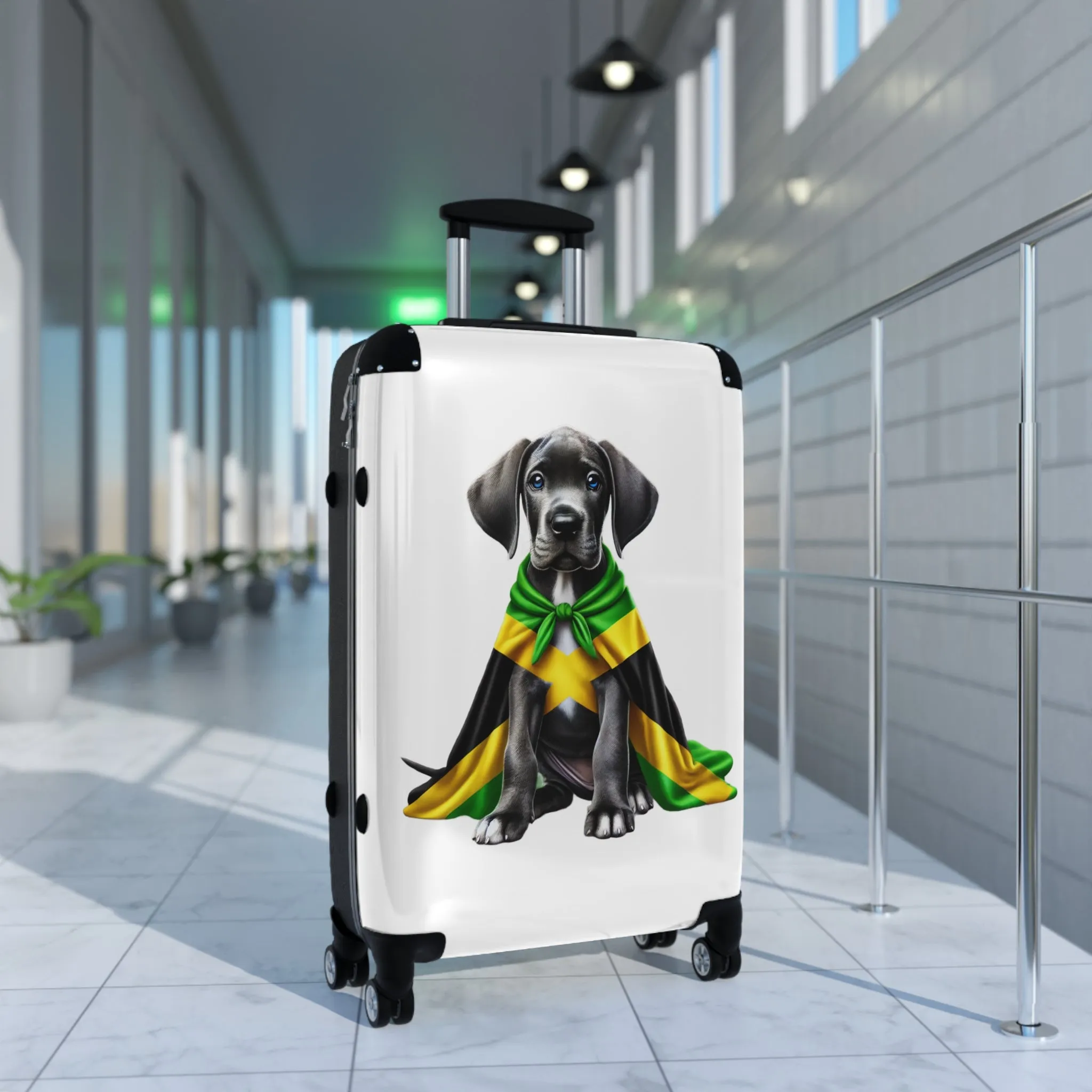 Suitcase