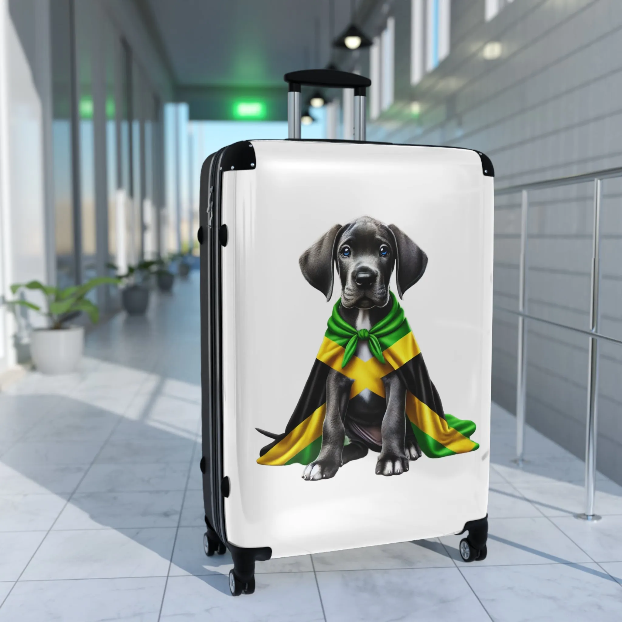 Suitcase