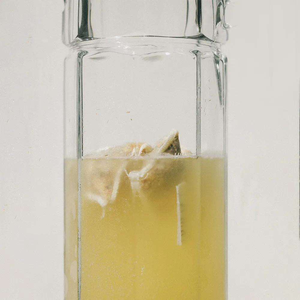 Turmeric   Ginger Tea Bags