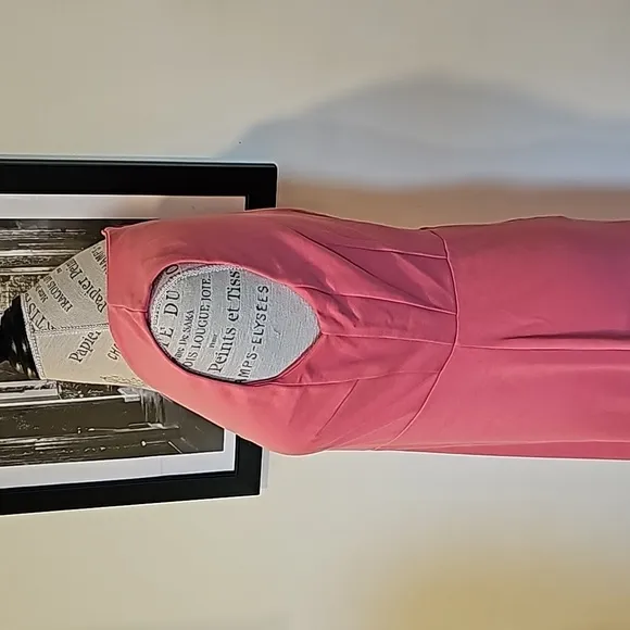 White House Black Market sz10 pink dress