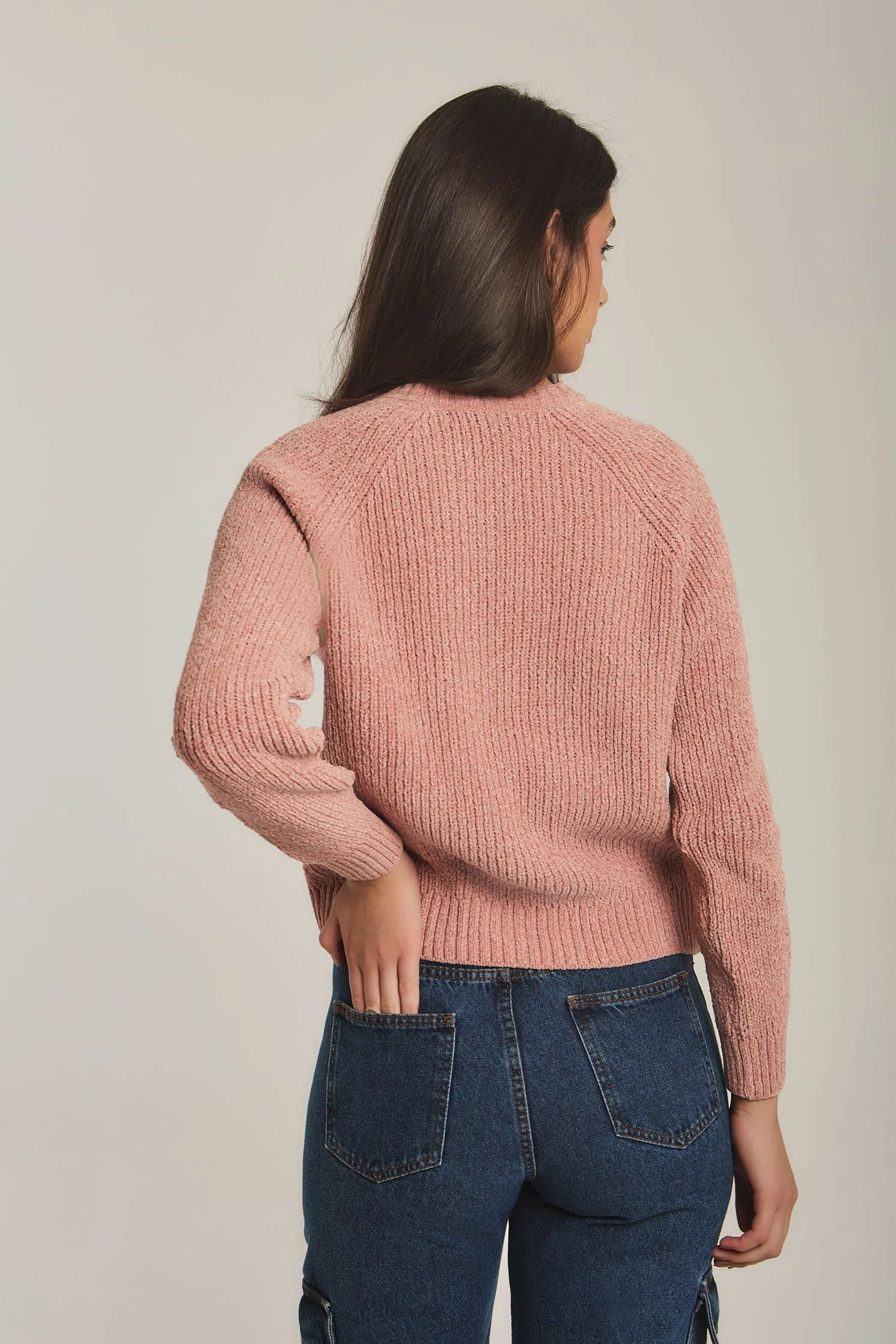 Women Sweat Shirt Crew Neck RegularPink
