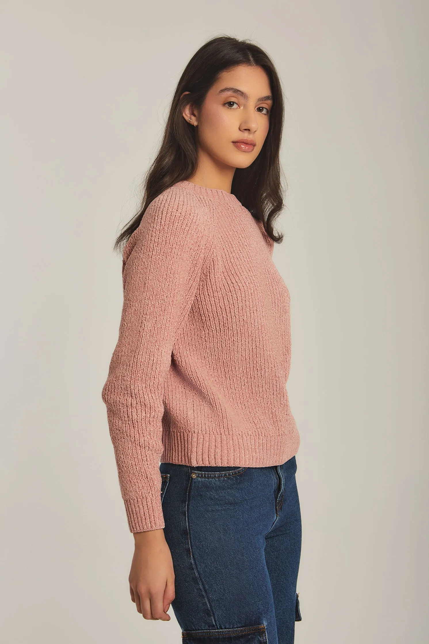 Women Sweat Shirt Crew Neck RegularPink