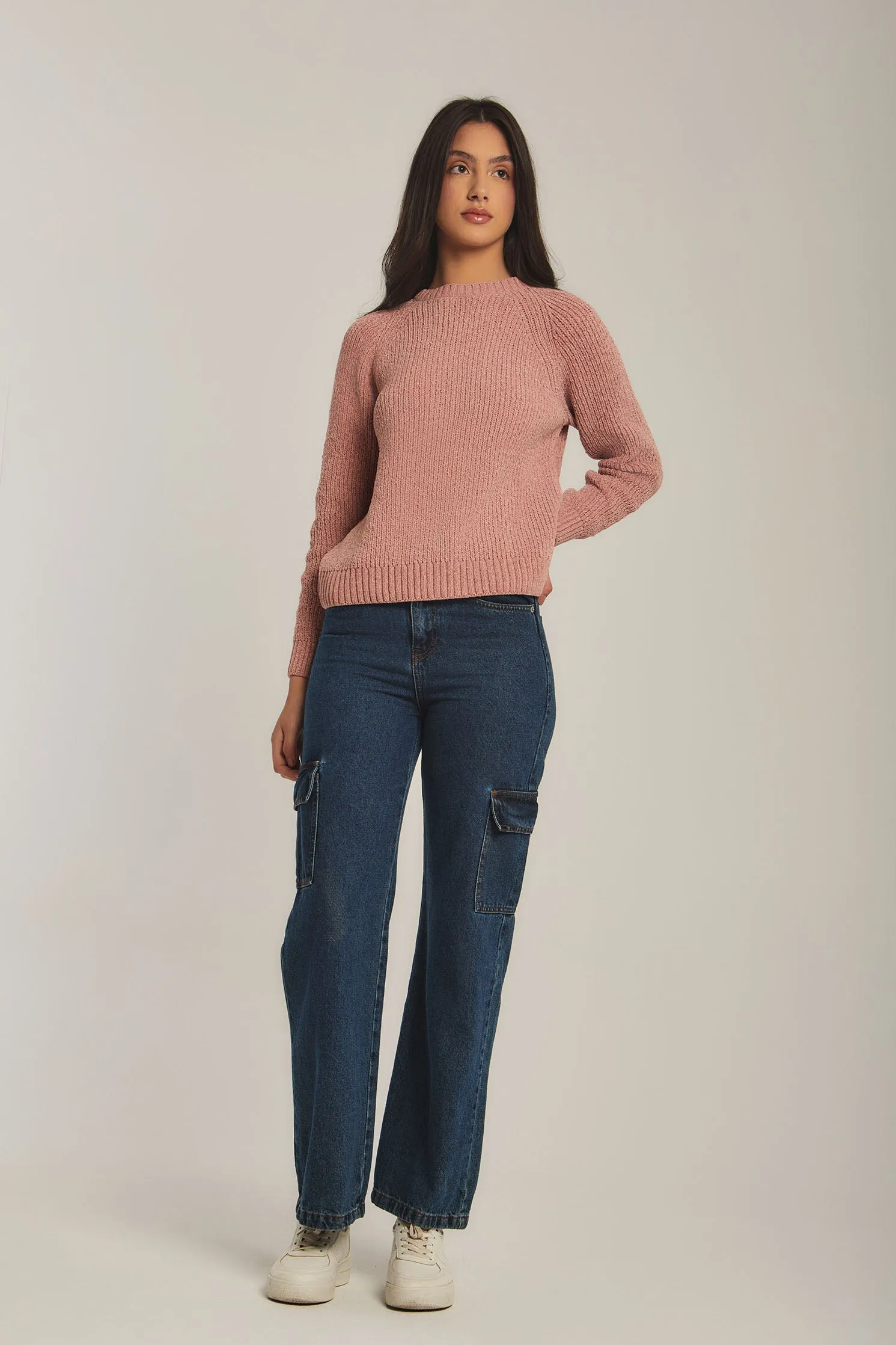 Women Sweat Shirt Crew Neck RegularPink